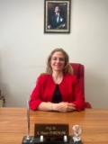 Prof. Dr. S. Pınar TEMİZKAN